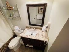 Guest Bathroom View #2