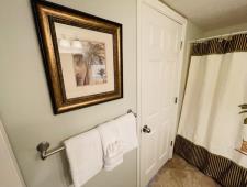 Guest Bathroom View #4